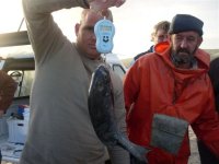 SDC13227.JPG