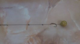 DSC_0221.jpg