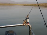 IMG_4355.JPG