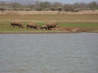 IMG_4362.JPG