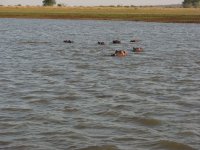 IMG_4385.JPG