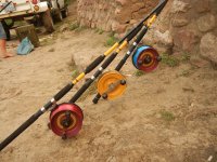 Whiska Catfish Alvey.JPG