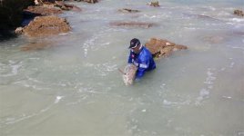 20151107_144156 (Small).jpg