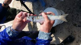 20151107_145529 (Small).jpg