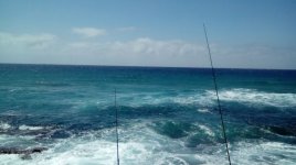 DSC_0139.JPG