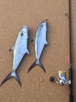 two snoeks_10 Dec 2015.jpg