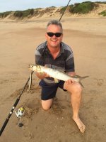 Springer_9 Nov 2015a.jpg