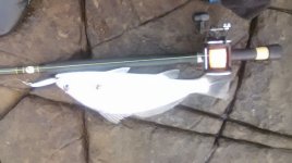 WP_20160131_002.jpg