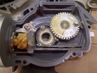 IMG-20160129-08577.jpg