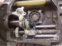 IMG-20160127-08551.jpg