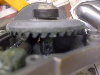 IMG-20160130-08599.jpg