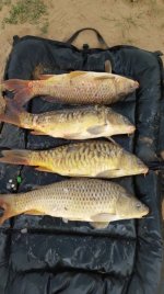 IMG-20160228-WA0003.jpg