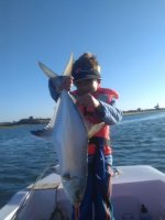 IMG_20170714_160053.jpg