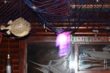 IMG_1924 (600 x 400).jpg