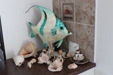 IMG_1868 (600 x 400).jpg