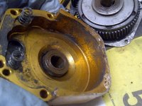 IMG-20160304-09229.jpg