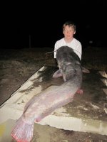 J-C Cat_optimized.jpg