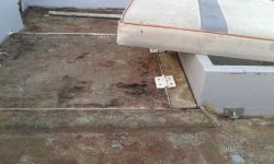 20171209_051317.jpg