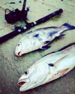 DB599545-25E2-4D1F-80FF-2864AEB9D797.jpeg