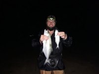 Big shad tailor blue fish on smaller tailor shad blue fish st lucia kzn.jpeg