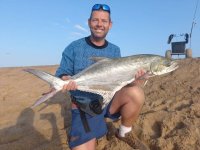 Garrick caught on live shad tailor blue fish free swimming st lucia kzn south africa.jpg