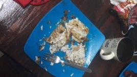 Enjoying fresh shad tailor blue fish at villa mia self catering holiday flats st lucia kzn.jpeg