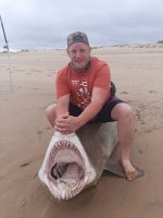 Slakkie raggie caught at st lucia swimming beach north coast kzn south africa.jpeg
