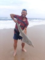 pottie sand shark caught at ingwe beach st lucia kzn north coast south africa.jpeg
