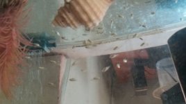 20180201_144415.jpg