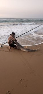 Male sand shark st lucia 10 July 2022.jpeg
