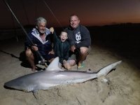 Shark caught at st lucia natal north coast south africa on live shad.jpg