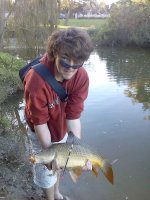 td carp.jpg