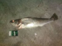 IMG-20180531-WA0000.jpg