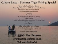 Summer Tiger Fishing Special.jpg