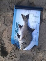 IMG-20180810-WA0021.jpg