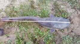 20181110_054521.jpg