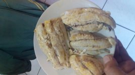 20200803_103236.jpg