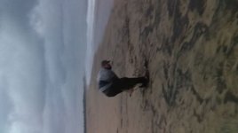 20200805_173321.jpg