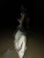 IMG_20200828_193354.jpg