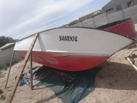 DSC_1611.JPG