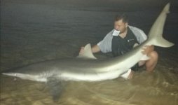 IMG_20201114_134105.jpg
