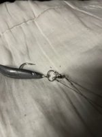 thumbnail_IMG_0441.jpg