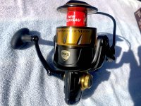 IMG_0202.jpeg