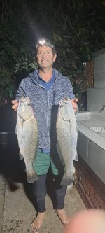 salmons caught at Jubula Beach St Lucia natal north coast kzn South africa.jpg