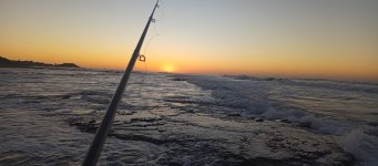IMG_20260503_064150.jpg