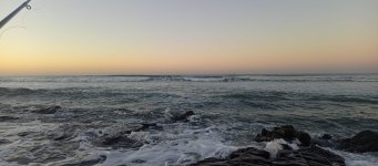 IMG_20260503_064154.jpg