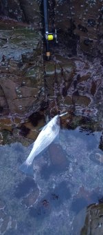 IMG_20260711_070254.jpg