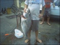 Img0018.jpg