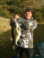 Werries bass.JPG