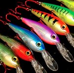 fin0811_gearbag_crankbaits.jpg
